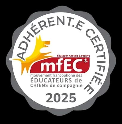mfEC 2025